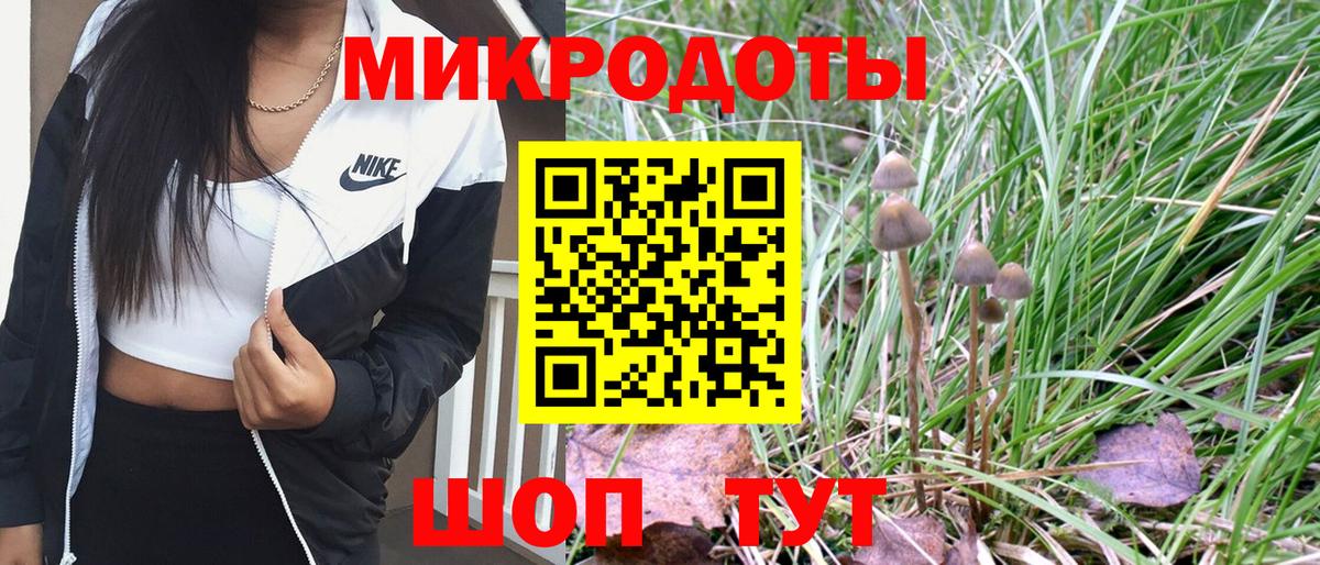 Ялуторовск  Галлюциногенные грибы GOLDEN TEACHER  Вход с VPN  где купить   Галлюциногенные грибы GOLDEN TEACHER 